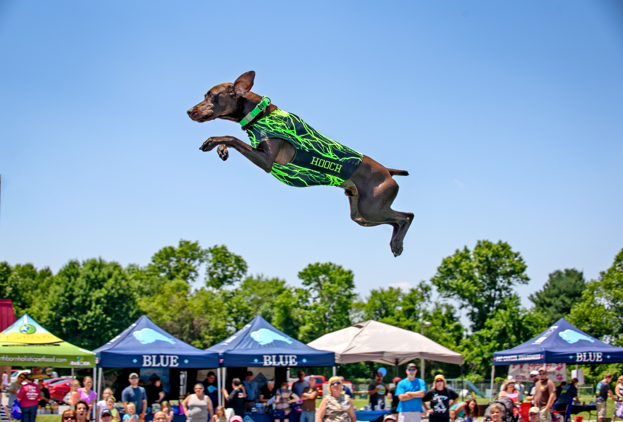 Pets in the Park at Glasgow Park, Glasgow, DE Cello's Corner
